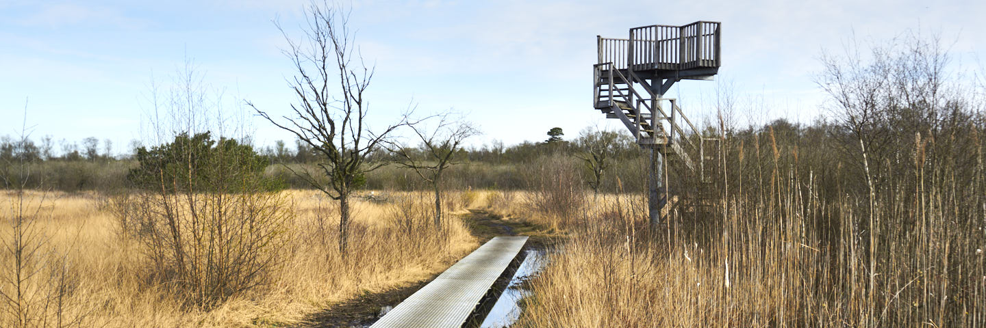Winterswijk Korenburgerveen